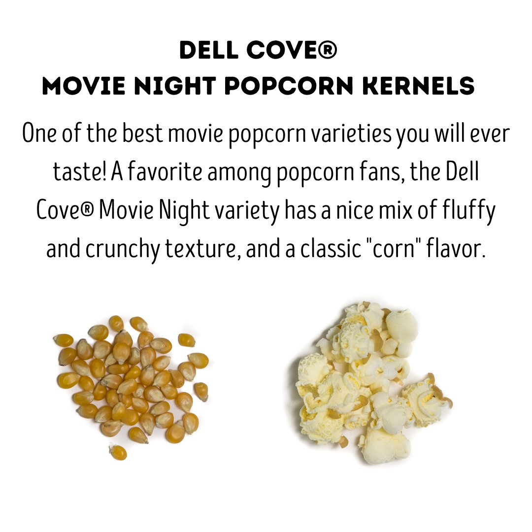 Movie Night Popcorn Kernels