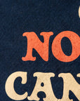 Pretty Good Not Bad I Can't Complain Camp Flag • John Prine x Oxford Pennant