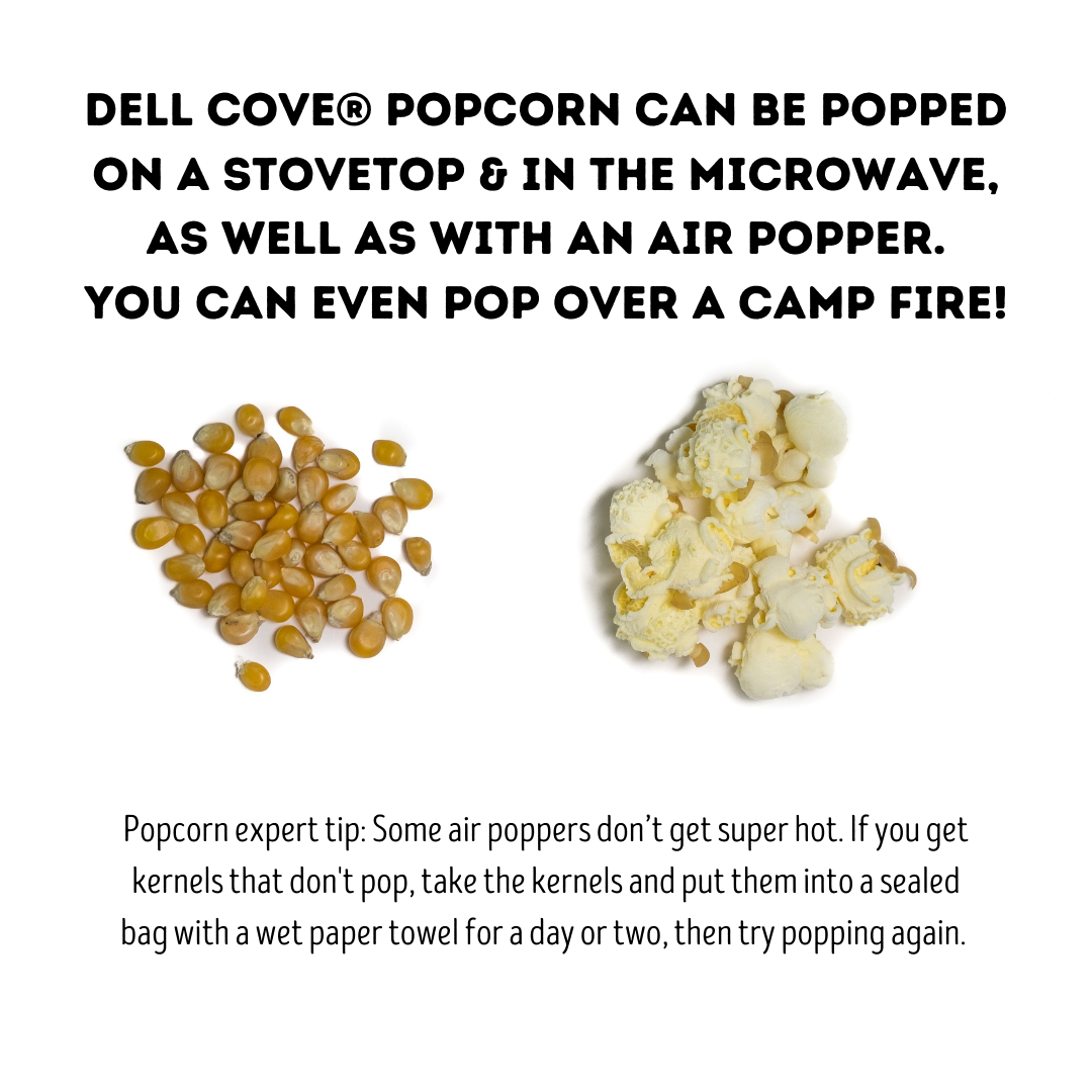 Movie Night Popcorn Kernels
