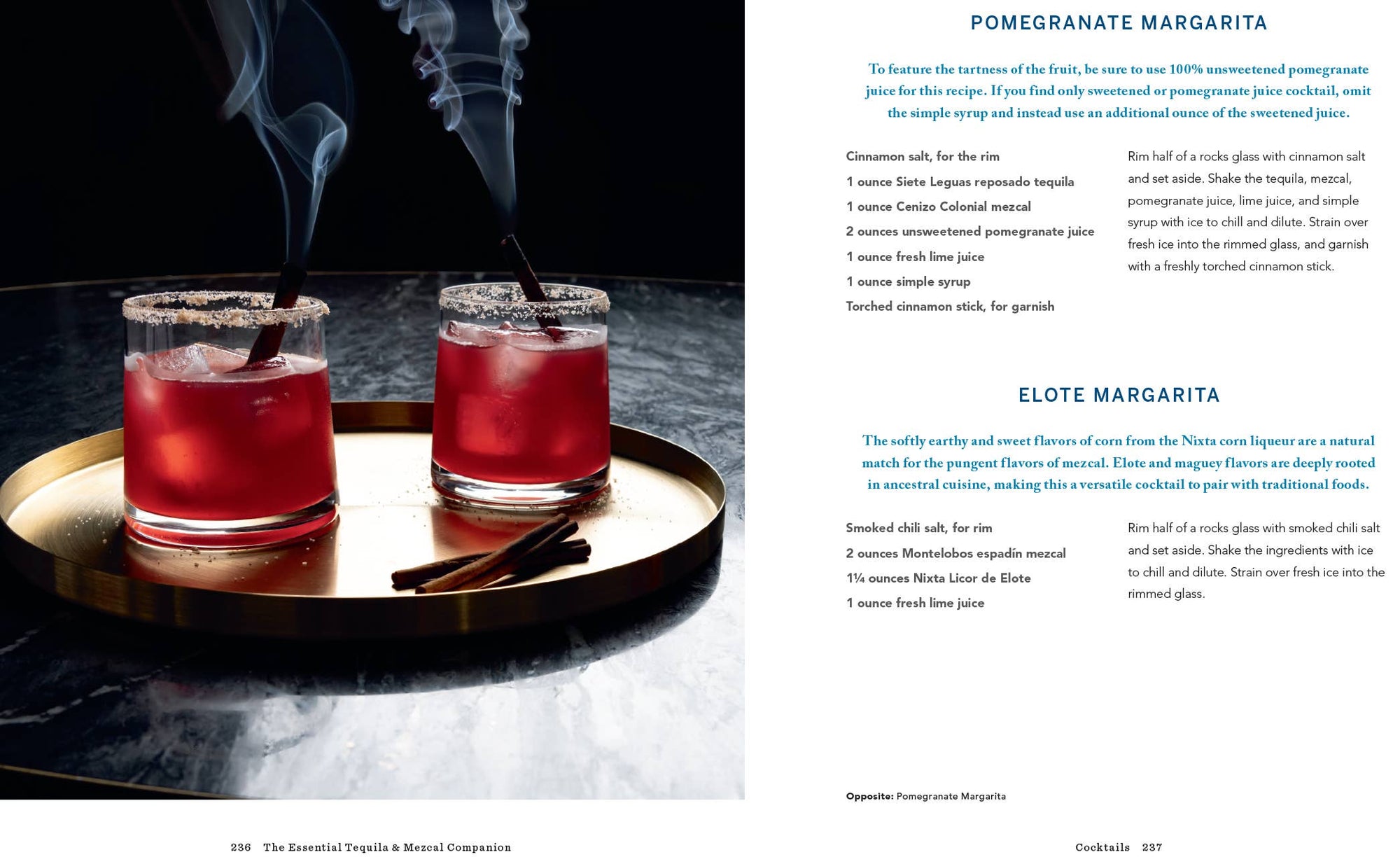 Essential Tequila &amp; Mezcal Companion Cocktail Book